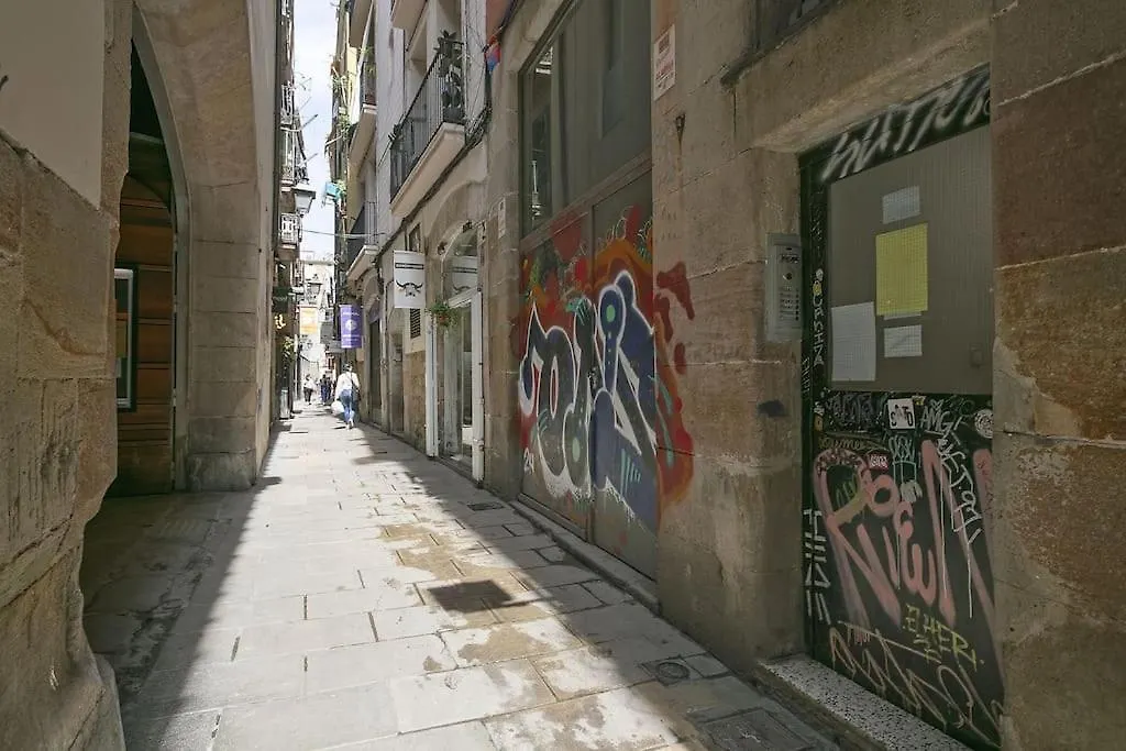 Alcam Flassaders Apartment Barcelona 0*,