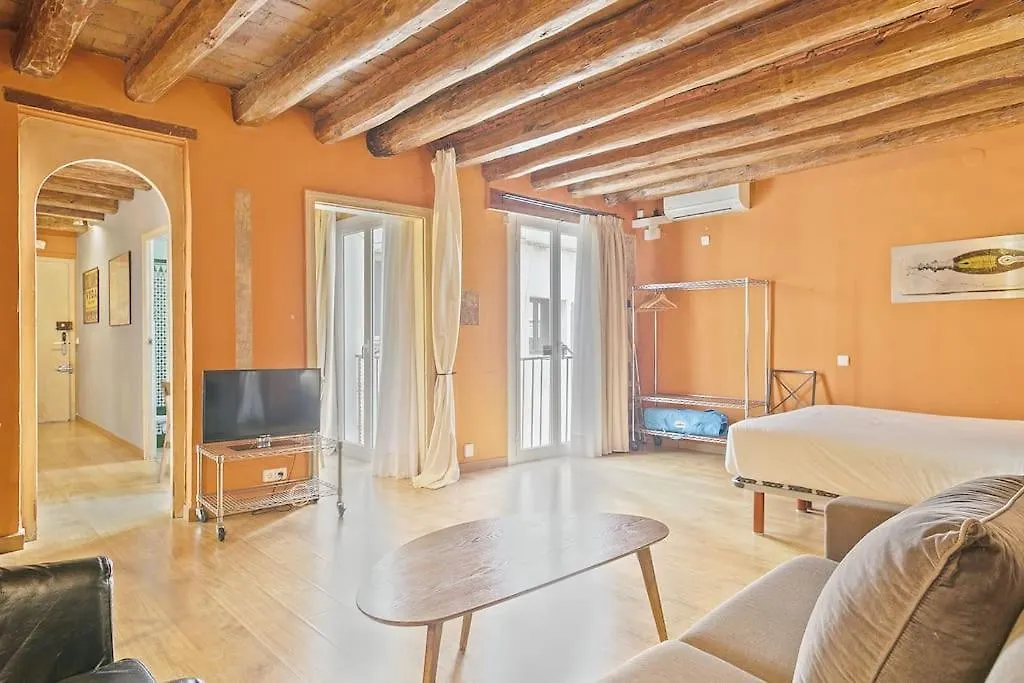 Alcam Flassaders Apartment Barcelona